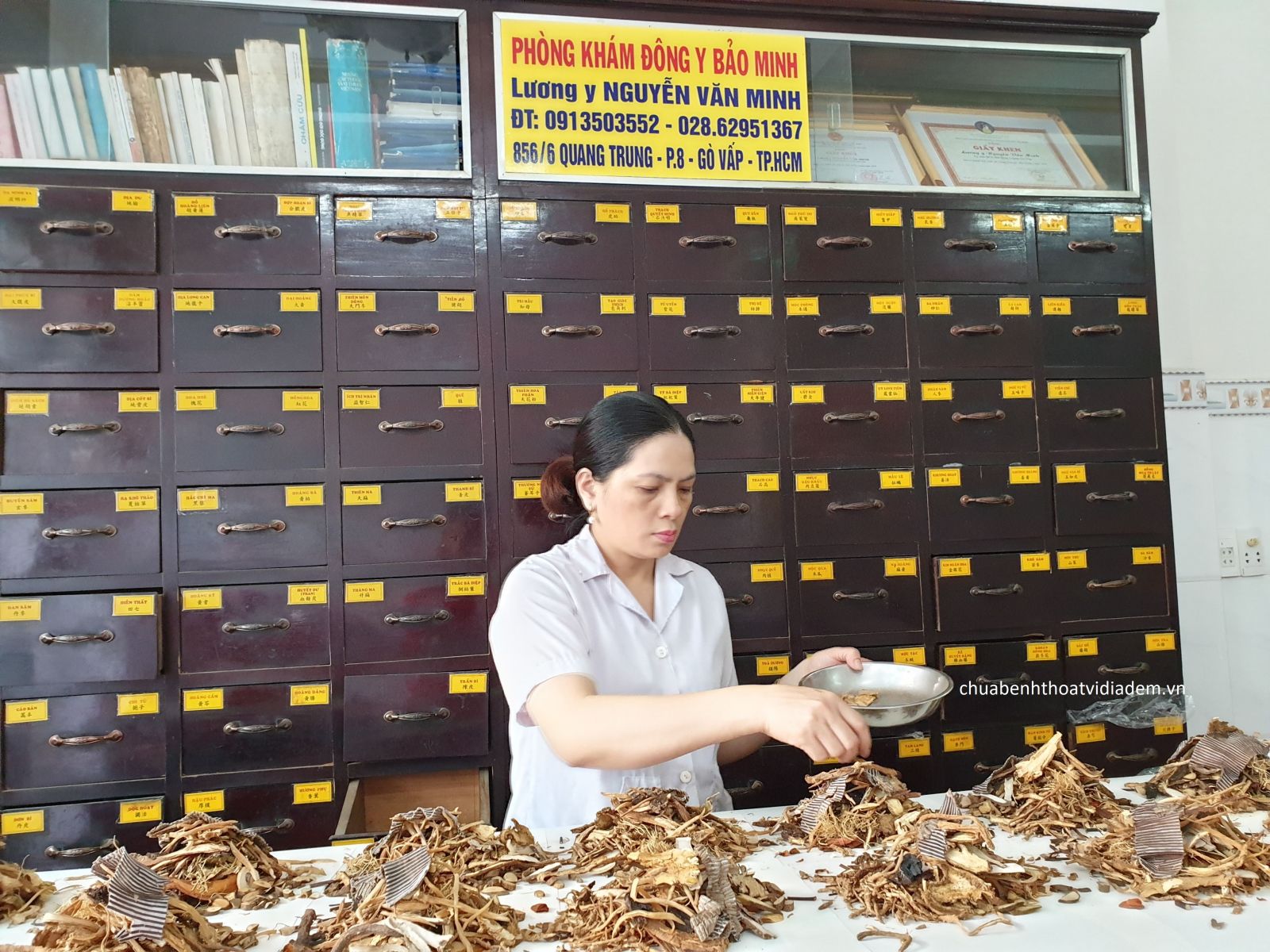 Chữa thoát vị đĩa đệm bằng đông y