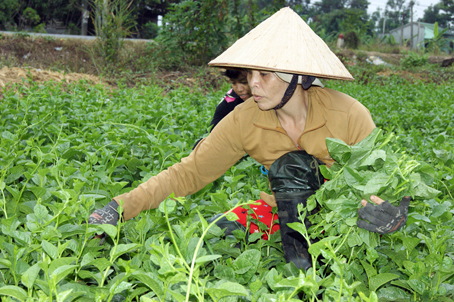 Chị Nguyệt khỏi tthoát vị đĩa đệm